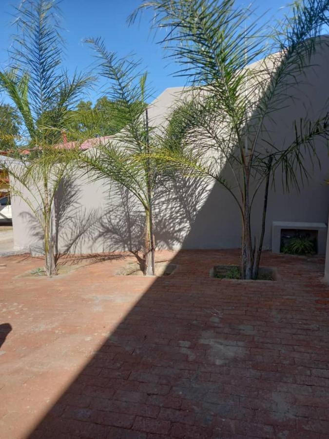 Self-Catering Studio, Unit 3 On Krupp Windhoek Bagian luar foto